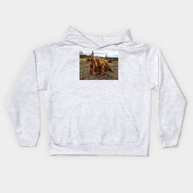 Scottish Highland Cattle Cow 2387 Kids Hoodie by SaarelaHighland